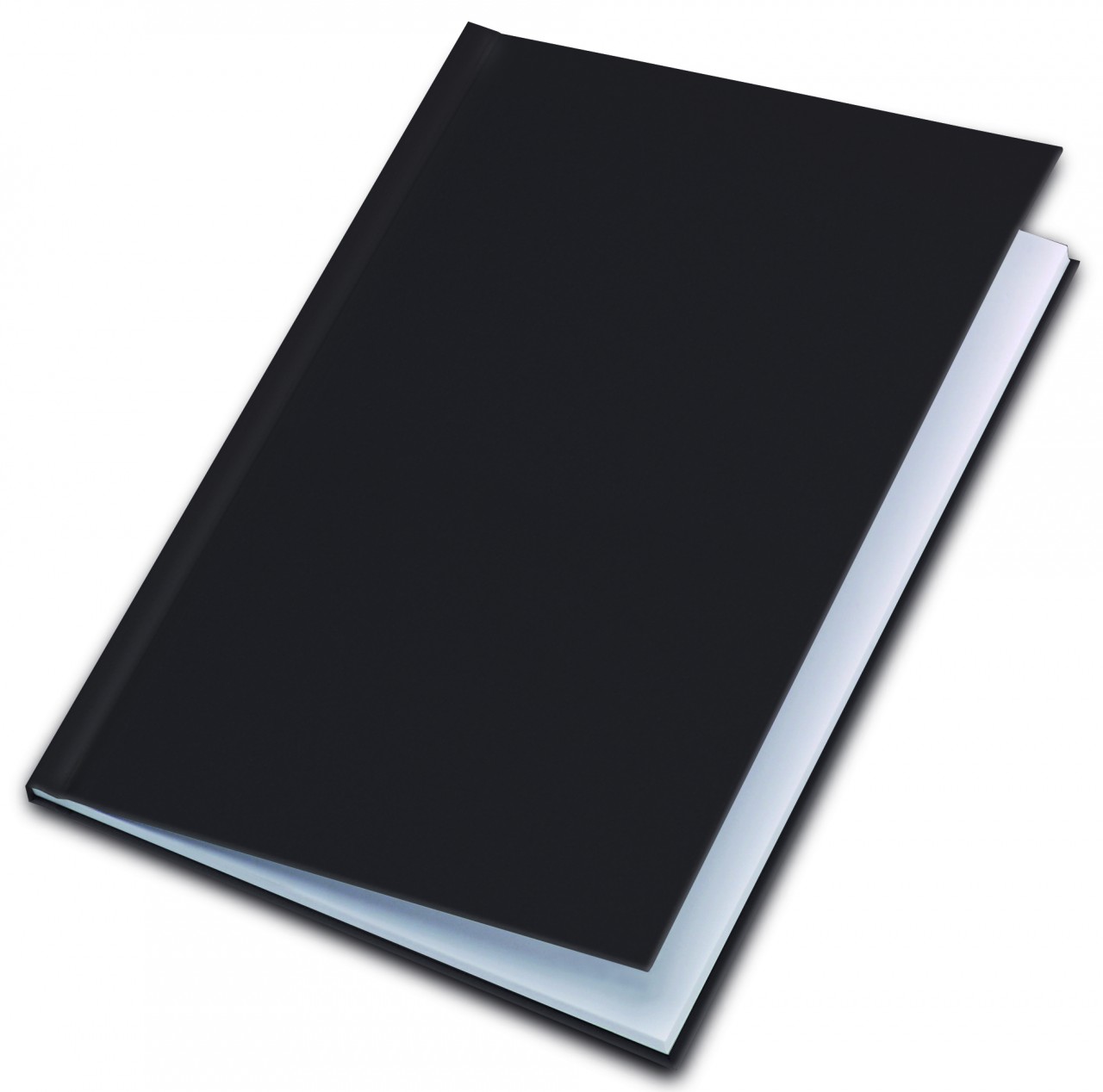 register book McGrath Company Seals